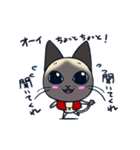 猫柳さん ザ・アニメーション（個別スタンプ：1）