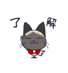 猫柳さん ザ・アニメーション（個別スタンプ：4）