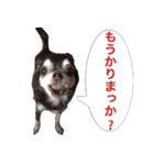 サンキューおっさんとゆかいな仲間達 8（個別スタンプ：30）