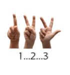 Real Hand and finger ASL sign (EN)（個別スタンプ：1）