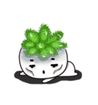 succulent plant NO.1（個別スタンプ：12）