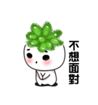 succulent plant NO.1（個別スタンプ：17）