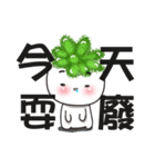 succulent plant NO.1（個別スタンプ：28）