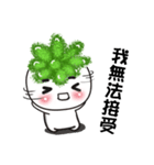 succulent plant NO.1（個別スタンプ：40）