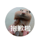 Hamster's Daily - Satisfiy all your Life（個別スタンプ：9）