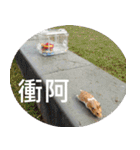 Hamster's Daily - Satisfiy all your Life（個別スタンプ：15）