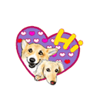 Corgi LOVE（個別スタンプ：1）