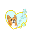 Corgi LOVE（個別スタンプ：3）