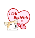 Corgi LOVE（個別スタンプ：5）