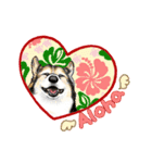 Corgi LOVE（個別スタンプ：6）