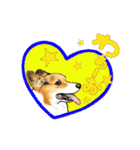 Corgi LOVE（個別スタンプ：8）