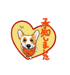 Corgi LOVE（個別スタンプ：12）