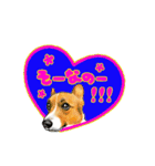 Corgi LOVE（個別スタンプ：18）