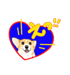 Corgi LOVE（個別スタンプ：20）