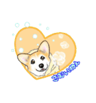 Corgi LOVE（個別スタンプ：25）