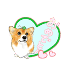 Corgi LOVE（個別スタンプ：28）