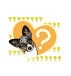 Corgi LOVE（個別スタンプ：32）