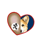 Corgi LOVE（個別スタンプ：34）