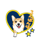 Corgi LOVE（個別スタンプ：36）