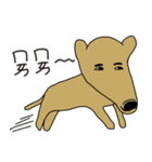 Lovely sausage dog（個別スタンプ：2）