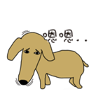 Lovely sausage dog（個別スタンプ：5）