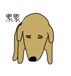 Lovely sausage dog（個別スタンプ：13）