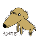 Lovely sausage dog（個別スタンプ：16）