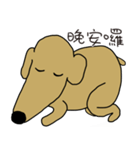 Lovely sausage dog（個別スタンプ：17）