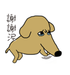 Lovely sausage dog（個別スタンプ：19）