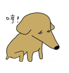 Lovely sausage dog（個別スタンプ：22）