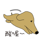 Lovely sausage dog（個別スタンプ：26）