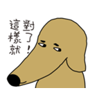 Lovely sausage dog（個別スタンプ：27）