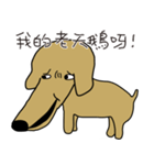 Lovely sausage dog（個別スタンプ：34）