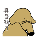 Lovely sausage dog（個別スタンプ：38）