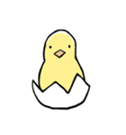The Chicks ！（個別スタンプ：1）