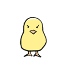 The Chicks ！（個別スタンプ：5）