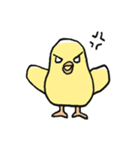 The Chicks ！（個別スタンプ：6）