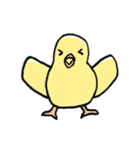 The Chicks ！（個別スタンプ：11）