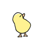 The Chicks ！（個別スタンプ：24）