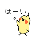 メッセージインコ（個別スタンプ：2）