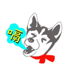 Lovely husky's daily life（個別スタンプ：4）