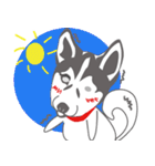 Lovely husky's daily life（個別スタンプ：8）