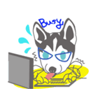 Lovely husky's daily life（個別スタンプ：9）