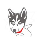 Lovely husky's daily life（個別スタンプ：12）
