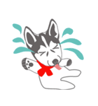 Lovely husky's daily life（個別スタンプ：16）