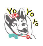 Lovely husky's daily life（個別スタンプ：19）