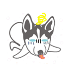 Lovely husky's daily life（個別スタンプ：22）