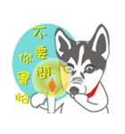 Lovely husky's daily life（個別スタンプ：23）