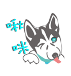 Lovely husky's daily life（個別スタンプ：24）