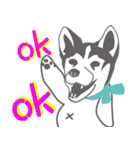 Lovely husky's daily life（個別スタンプ：38）